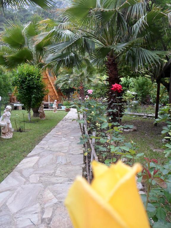 Oran Pansiyon Agac Evler Hotell Çıralı Exteriör bild